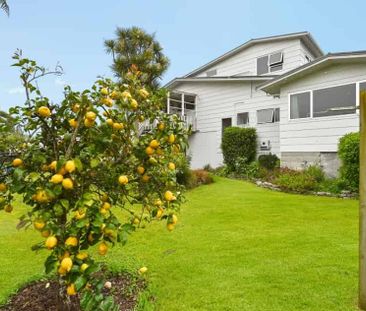 Spacious Family Living in Horotiu - Photo 2