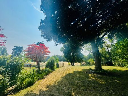 For Lease - 272 Essex (Work Out Basement) Avenue, Richmond Hill, Ontario - Photo 3