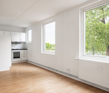 Thomsons väg 30 C, Kryddgården - Photo 4