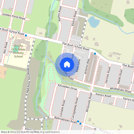 45 Rana Road, Flat Bush, Manukau City