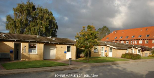 Asaa (Skelgårdsvej, Egely,Tonnismarken m.fl.) - Photo 1