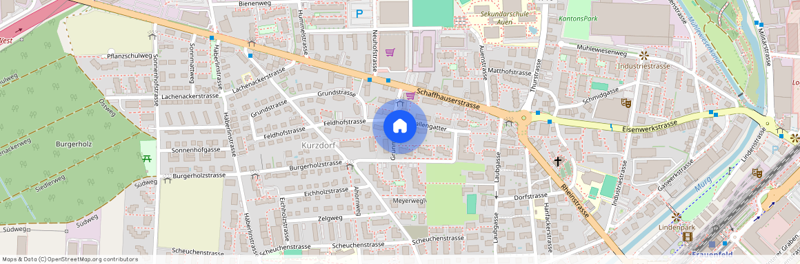 Grünmattweg 7, 8500 Frauenfeld