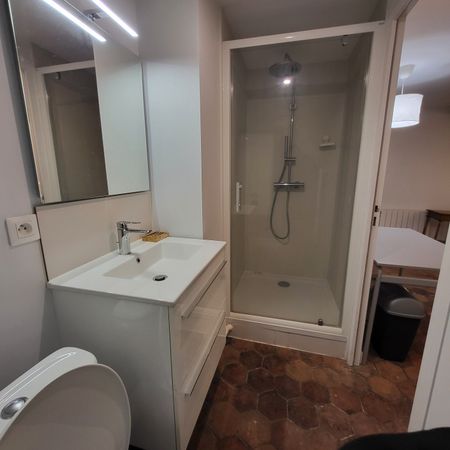 Studio meublé 29m2 - Photo 4