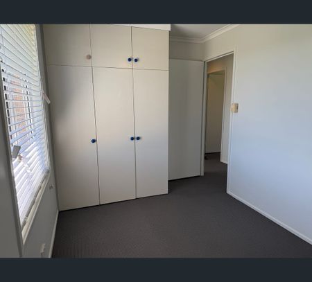 17 Crofton Avenue, Tenambit, NSW 2323 - Photo 2