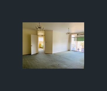 22/666 Pacific Highway, Killara, NSW 2071 - Photo 3