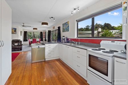 Sunny spacious home with a large backyard - Photo 5