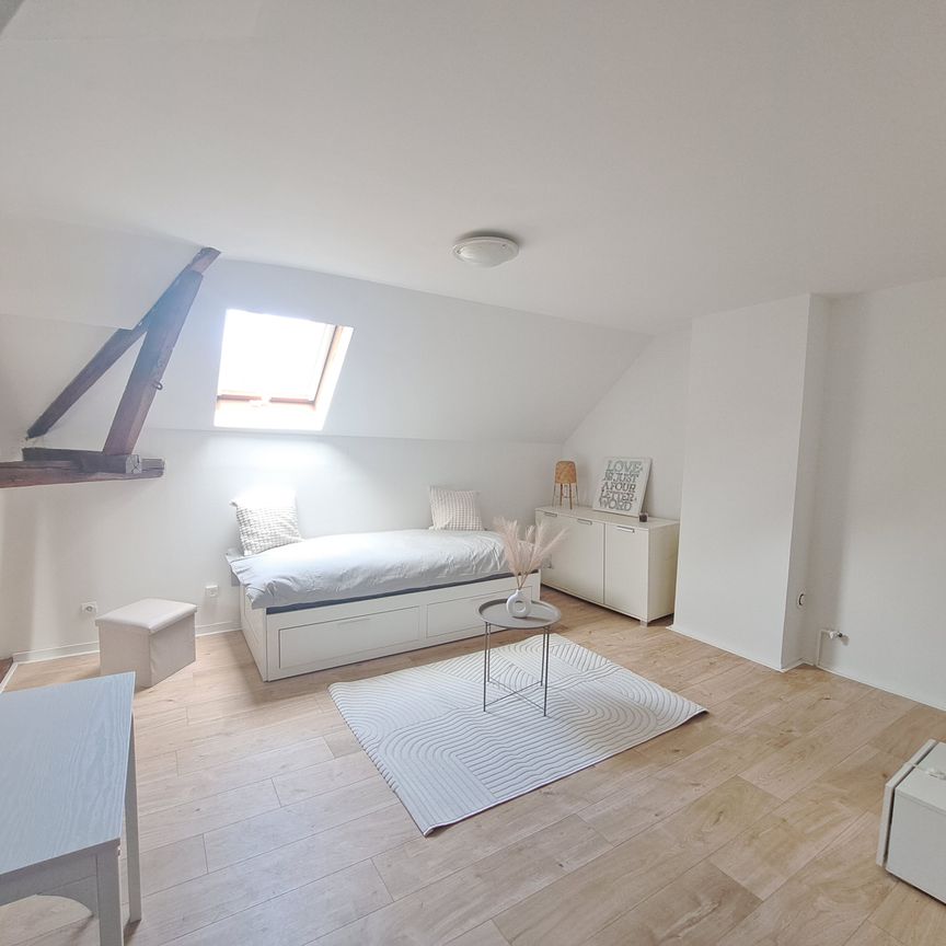 Location Appartement 1 pièce 25m² STE SAVINE 10300 - Photo 1