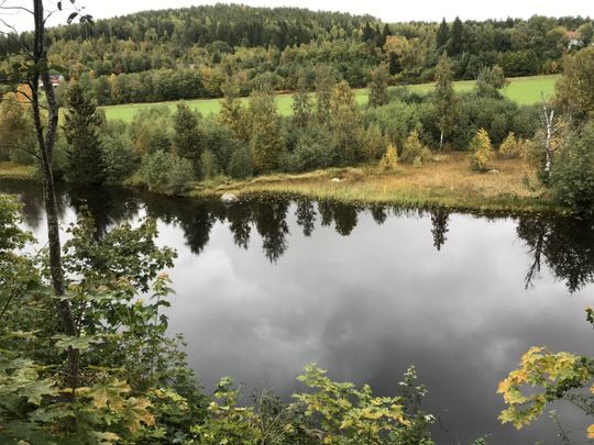 Stor villa i centrala Bergsjö - Foto 1