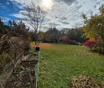 For Lease - 659 Elgin Mills Road Unit# Main, Richmond Hill, Ontario - Photo 6