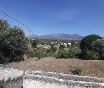 Μονοκατοικία για ενοικίαση Άνω Βάθεια (Αμάρυνθος) - Photo 3