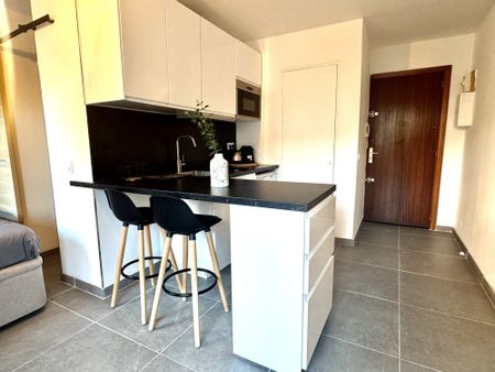 Location Appartement 1 pièce 21m² STE MAXIME 83120 - Photo 3