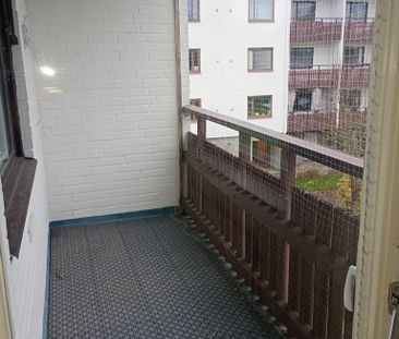 Ekbacken, Asarum - Photo 6