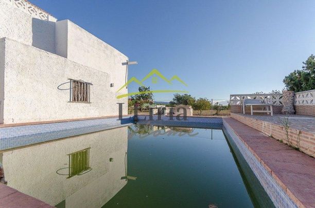 3 room luxury Detached House for rent in Llíria, Spain - Photo 1