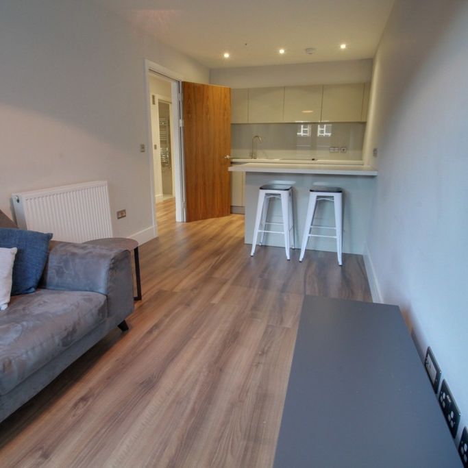 The Folium, Caroline Street, Birmingham - Photo 1