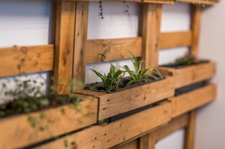 Huren: Gelijkvloers nieuwbouwappartement met terras en tuin - Photo 2