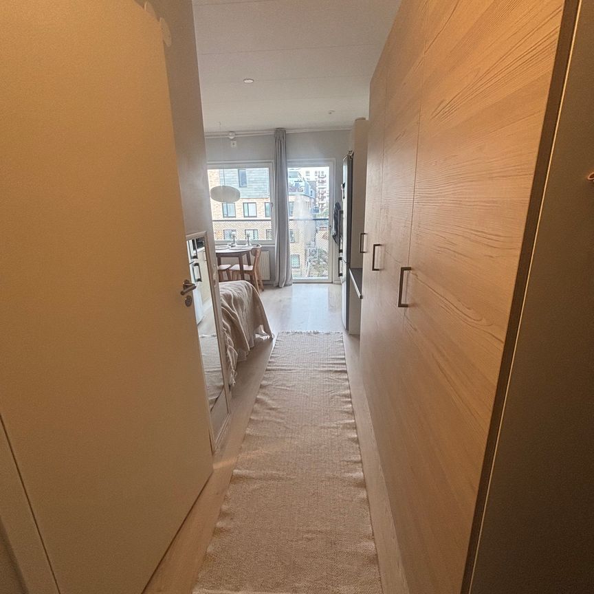 Brunnshögsgatan, Lund - Foto 1