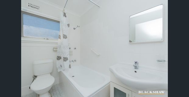 Neat and Cosy Two Bedroom Unit - Photo 1