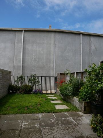 Modern 3 bedroom townhouse in Petone - Photo 4