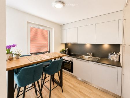 1 Zimmer, 26 m² - Photo 3