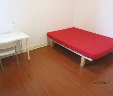 Downtown Toronto, College/Bathurst Basement room shared bath 800/Month - Photo 2