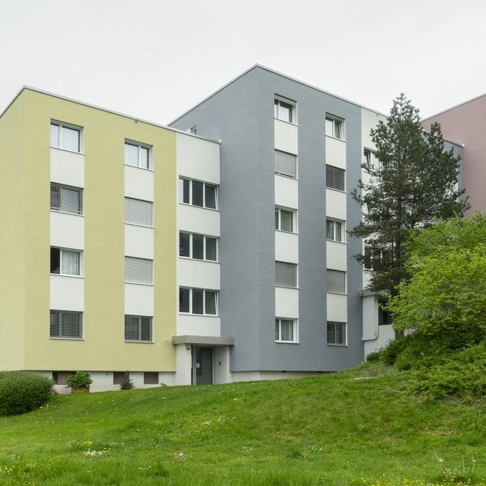 4 ½ Zimmer-Wohnung in Horgen mieten - Photo 1