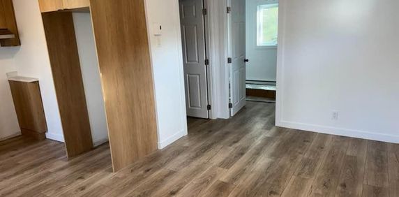 Petite maison (équivalent à un grand 3 1/2) à louer Thetford Mines - Photo 2