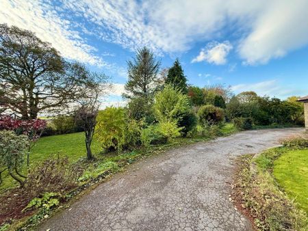 3 bedroom semi-detached house to rent - Photo 4