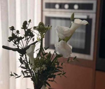 Townhouse de 3 niveles en Renta con Paneles Solares en Santa Gertru... - Photo 6