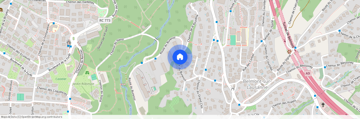 1092, Belmont-sur-Lausanne, Route Du Burenoz