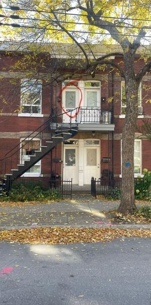 🏡 3 1/2 double lumineux à louer – Plateau Mont-Royal - Photo 1