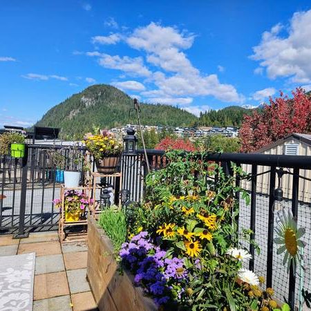 Large One Bedroom with Rooftop Deck - Photo 3