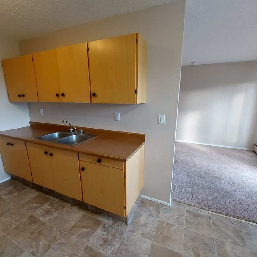 Dog Friendly 1 Bedroom Apartments! - Photo 1