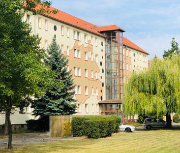 Altersgerechte 1 Raumwohnung in Sandersdorf - Photo 2