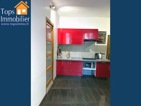 Location Appartement 1 pièce 27m² VILLEFRANCHE DE ROUERGUE 12200 - Photo 5