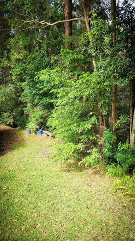 Kiels Mountain - Photo 2