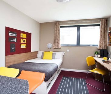 Classic Studio - Photo 6