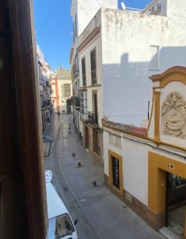 Calle Fernán Caballero, Sevilla, Andalusia 41001 - Photo 4