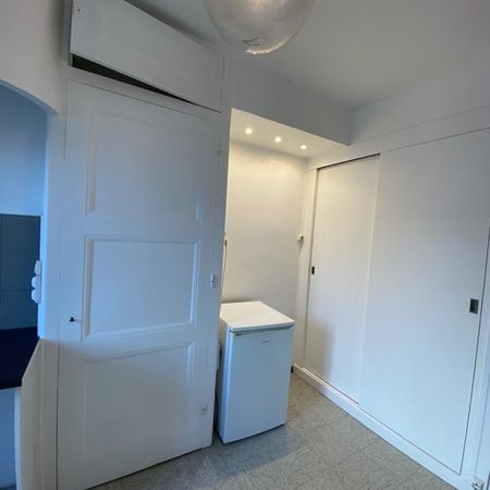 Location Appartement 2 pièces 49m² LYON 7ème - Photo 3