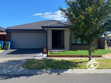 81 Heybridge Street, 3978, Clyde Vic - Photo 4