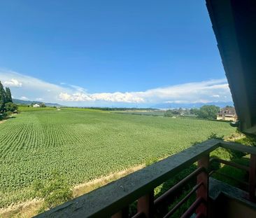 Superbe duplex rénové de 4,5 pièces dans un cadre calme et verdoyant - Photo 5