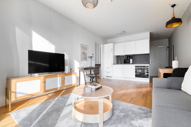 Belview Apartments, Arsenalstraße 8 - Foto 1