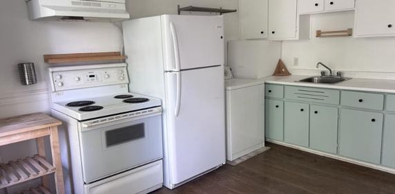 3 1/2 - Montréal (La Petite-Patrie) - 1 275 $/mois - Photo 2