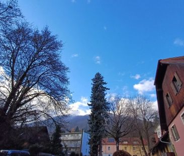 Schloss Eggenberg Nähe - schöne, helle 2 Zimmer - Küche Wohnung in ... - Foto 3