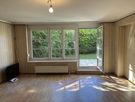 Fraungrubergasse - zentral begehbare 4 Zimmer Gartenwohnung zu vermieten - Photo 2