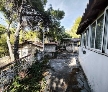 Μονοκατοικία - Ενοικίαση - Άνοιξη, Φασιδέρη - Photo 2
