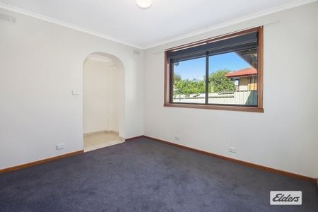 Brand new carpet! - Photo 3