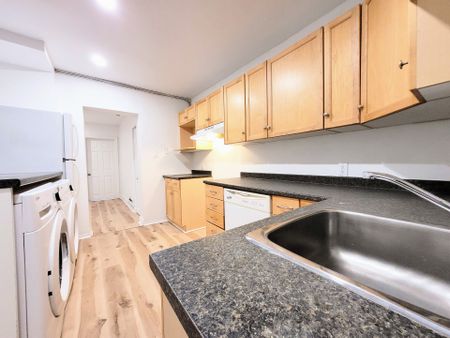 For Lease - 147 St Andrew Street, Lower Town - Sandy Hill, Ontario - Photo 5