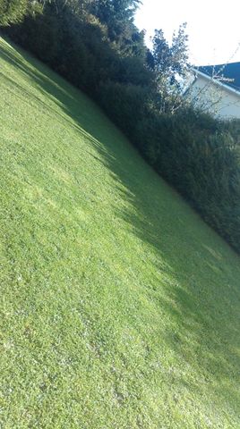 Location Appartement 1 pièce 30m² ORLEANS 45000 - Photo 4