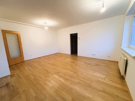 Perfekt aufgeteilte 2-Zimmer-Wohnung mit neuer Einbauküche in idealer Lage! - Foto 3