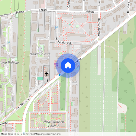 ul. Pienista, Lublinek, Polesie, Łódź, łódzkie